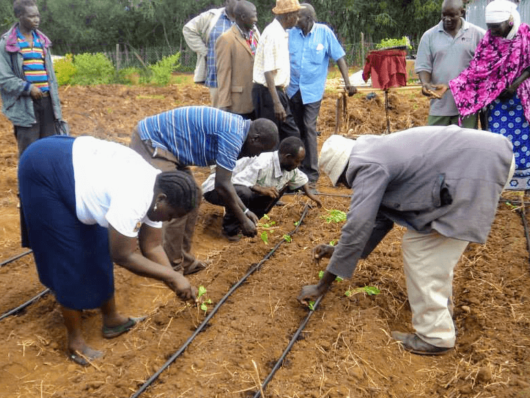 Farming